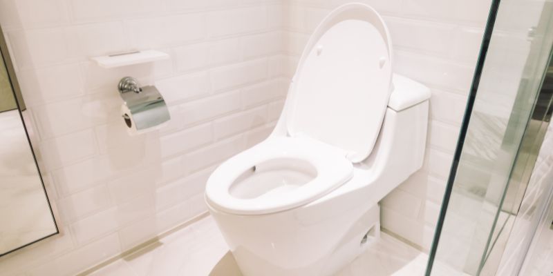 Como Desentupir Vaso Sanitário Que Caiu Objeto Dentro em Niterói: 4 Técnicas